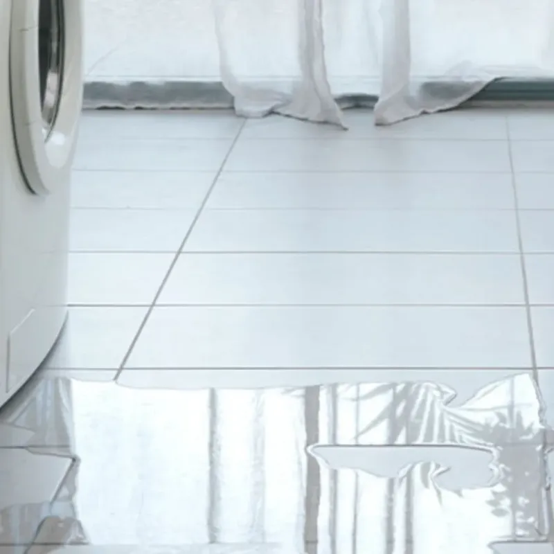 Appliance Leak Cleanup in Fairview Park, OH