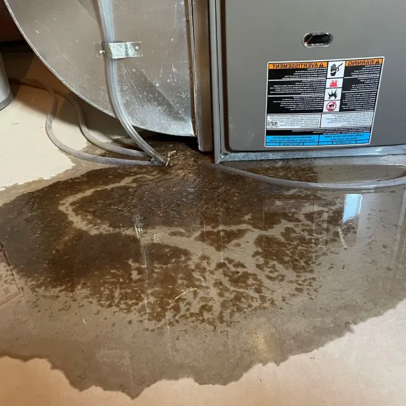 Pipe Burst and Leak Restoration in Fairview Park, OH